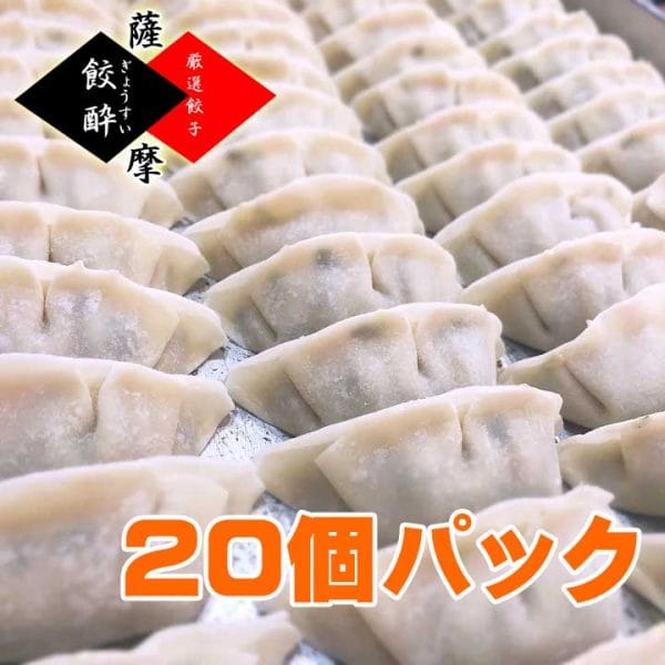 （10個×2P入り）冷凍餃子【20個】