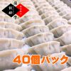（10個×4P入り）冷凍餃子【40個】